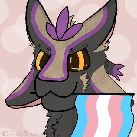 Avali says Trans Rights (6/27/23)